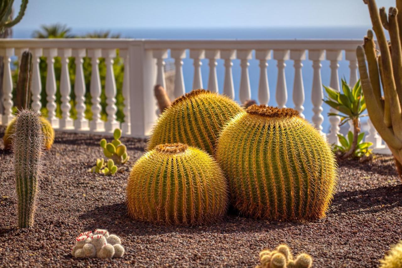 Stunning Villa With Breathtaking Ocean View Mogán Eksteriør bilde